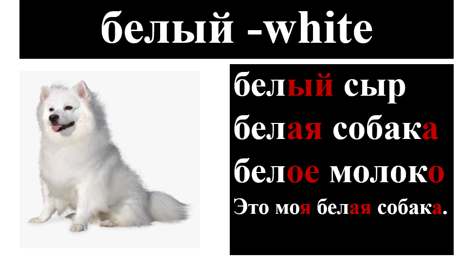 Практические задания Практические задания